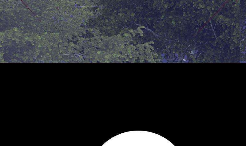 55.jpg