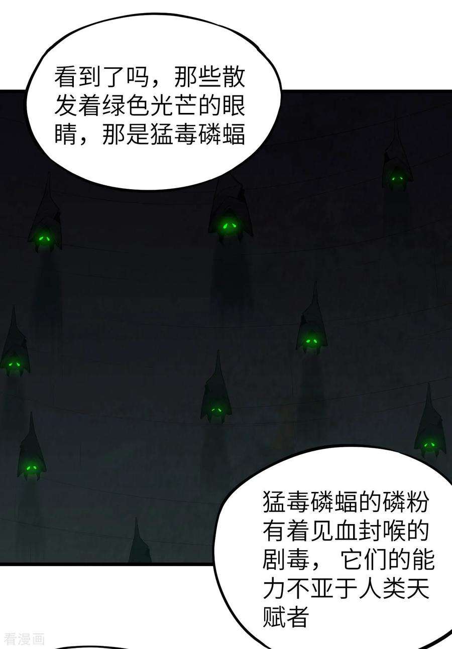 11.jpg