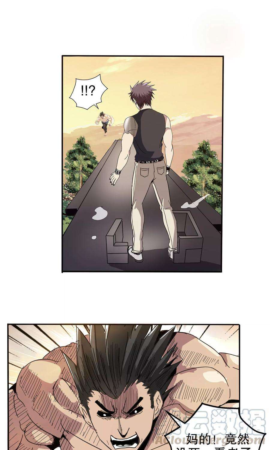 15.jpg