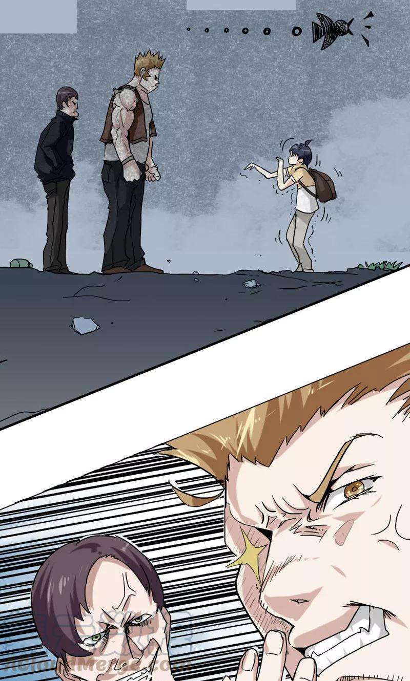 11.jpg