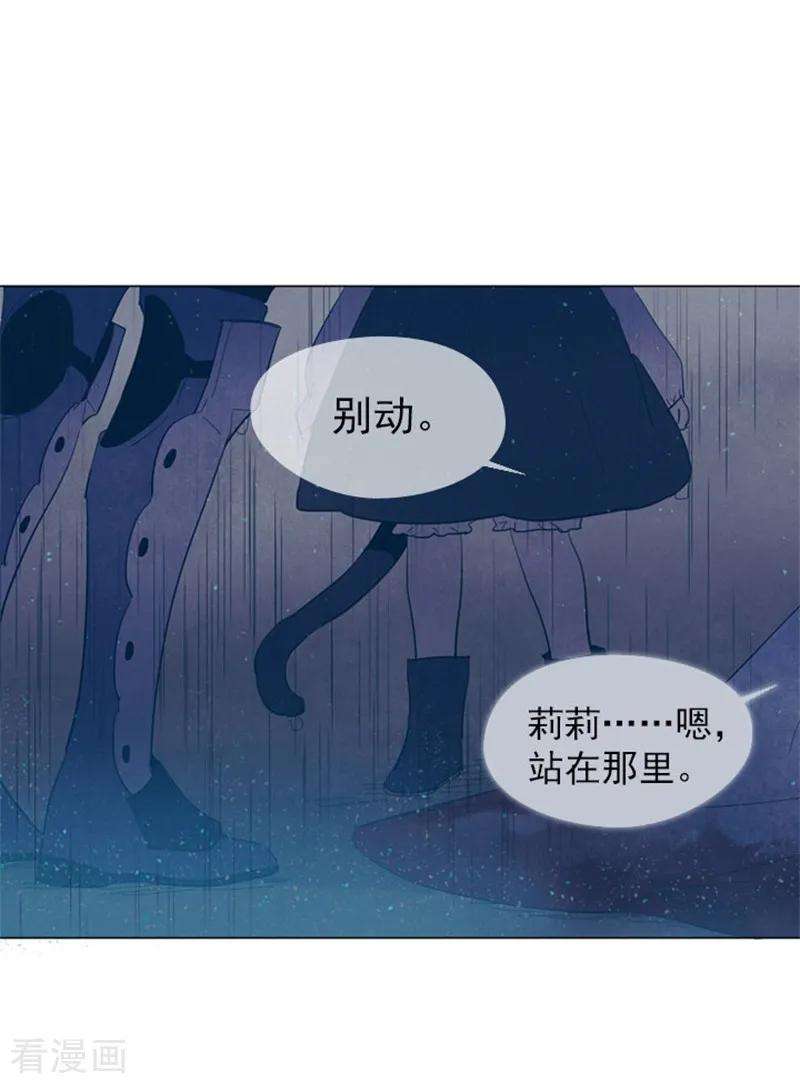 48.jpg