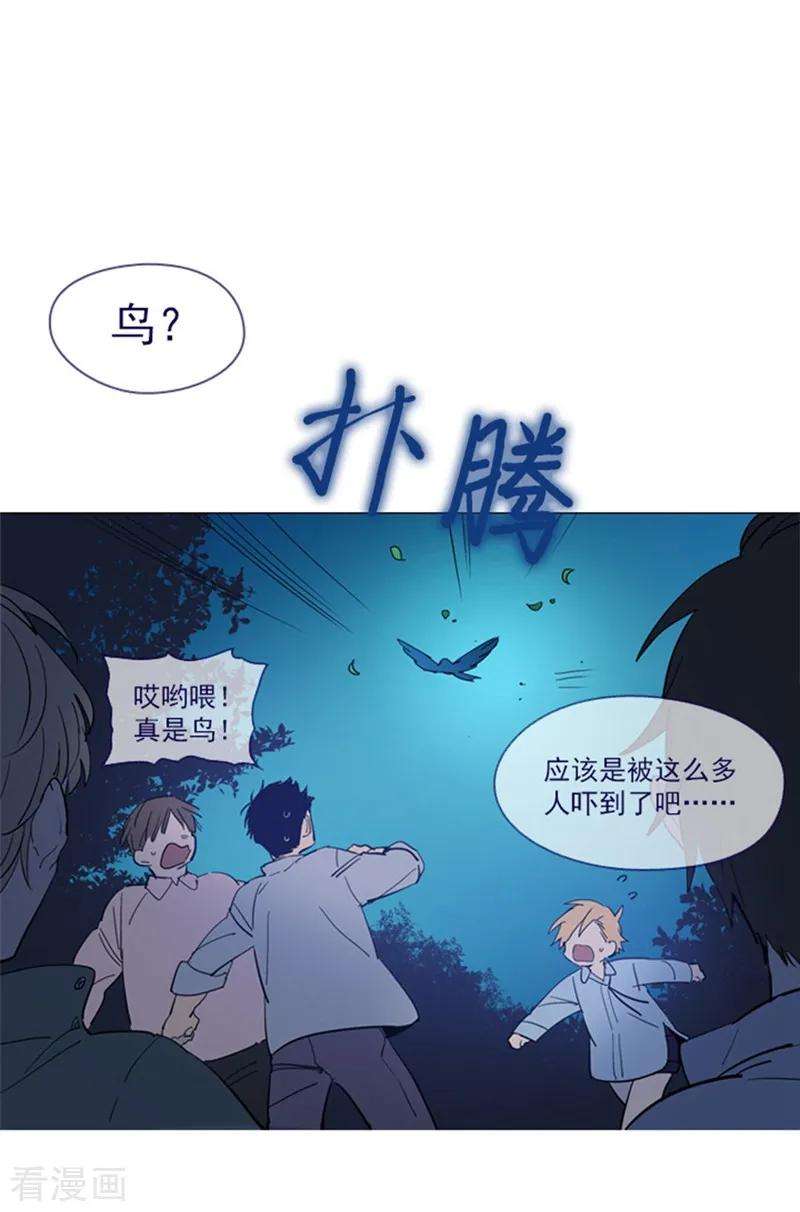 51.jpg