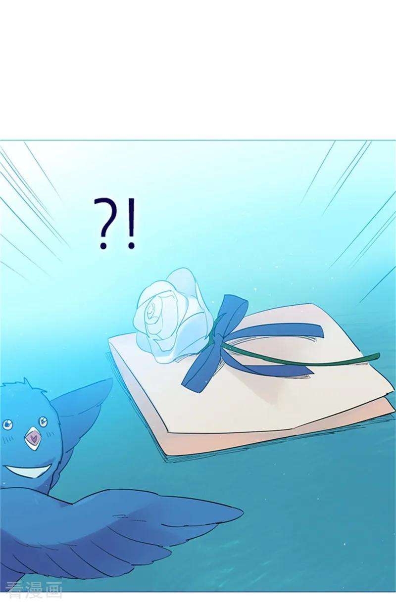 48.jpg