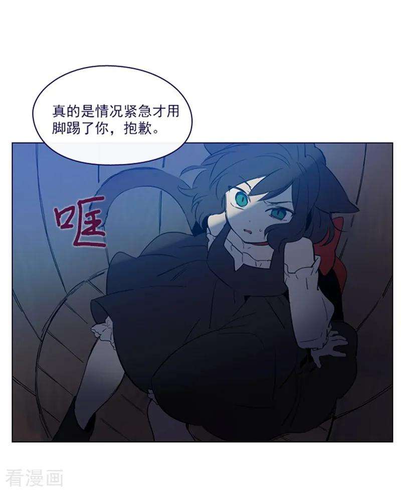 48.jpg