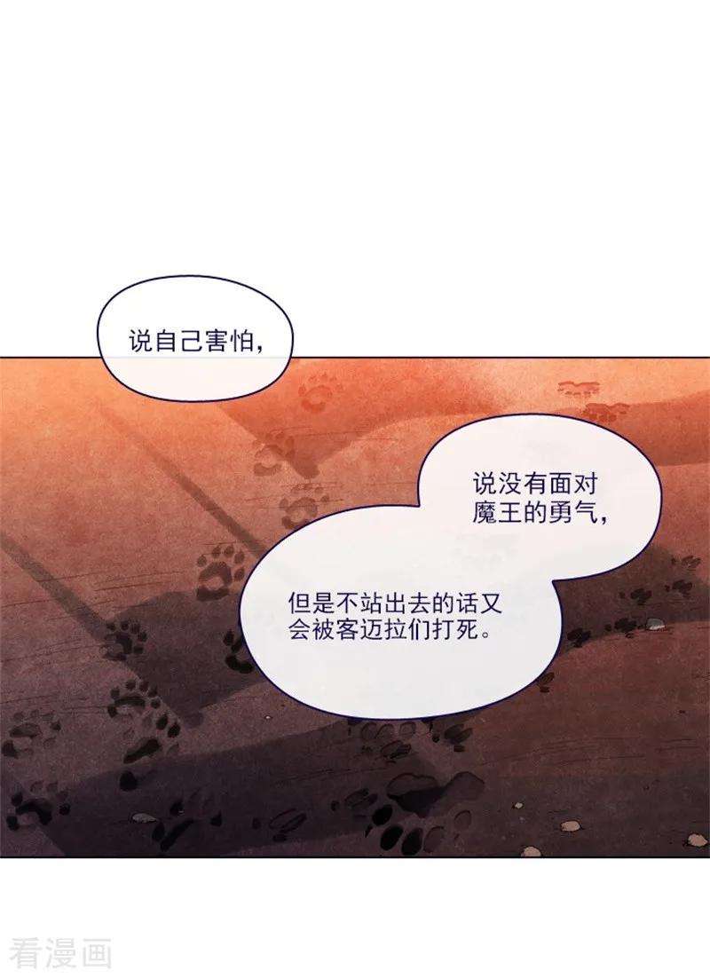 51.jpg