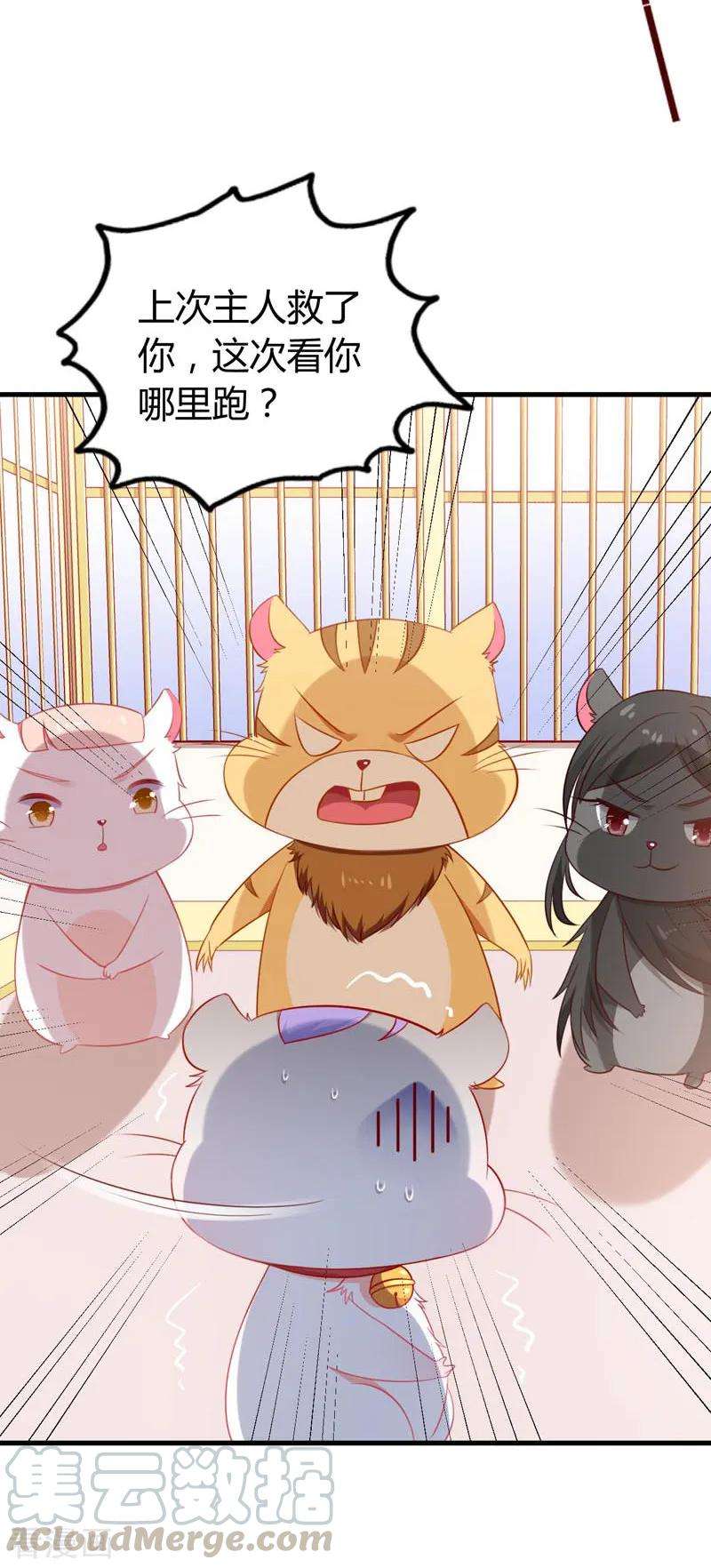 21.jpg