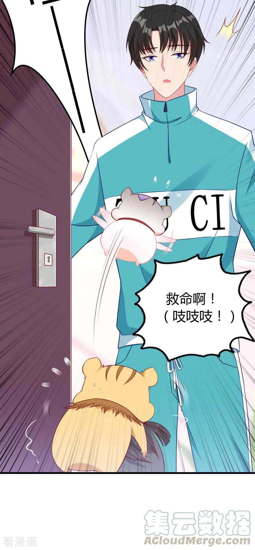 25.jpg