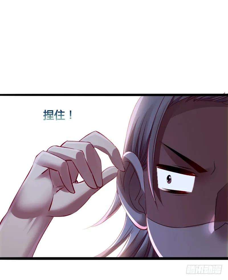 29.jpg