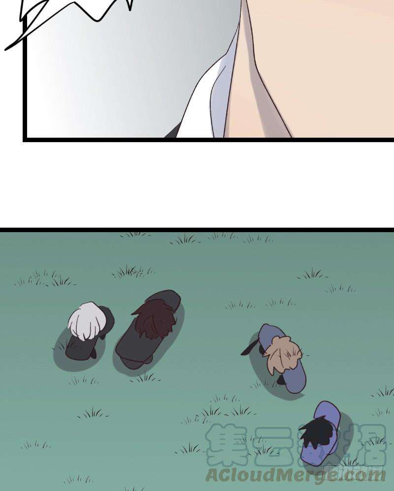 41.jpg