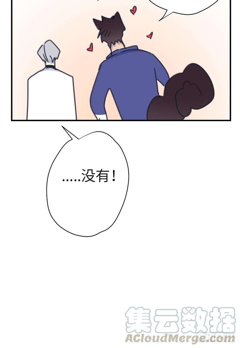 41.jpg