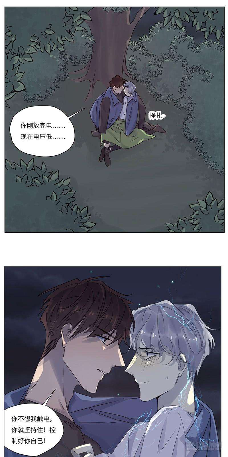 12.jpg