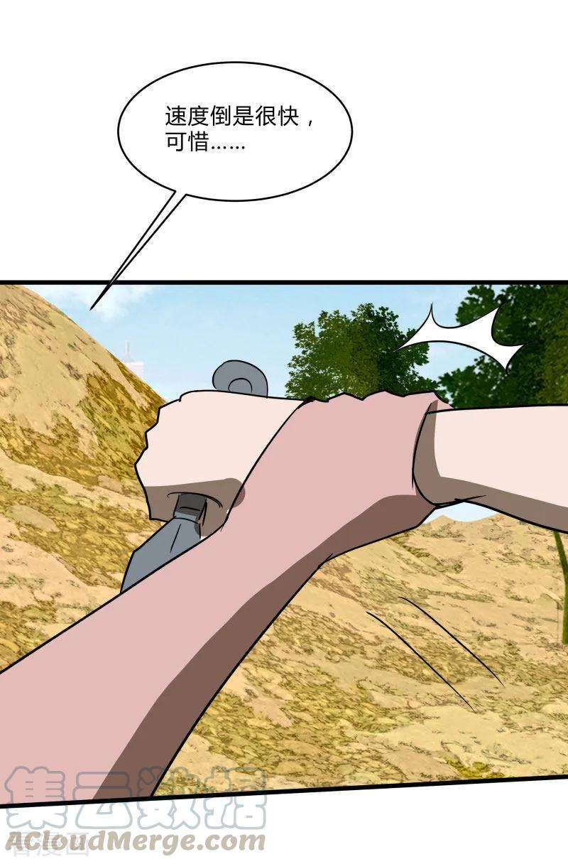29.jpg