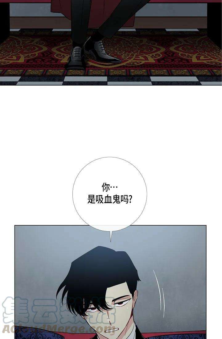 61.jpg