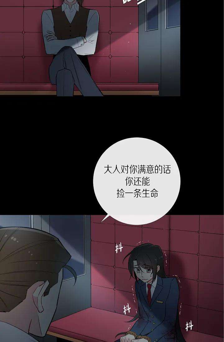 46.jpg