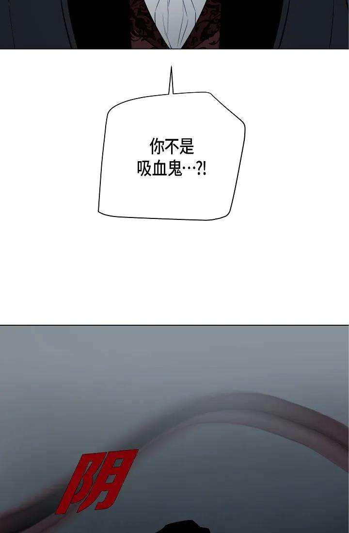 64.jpg