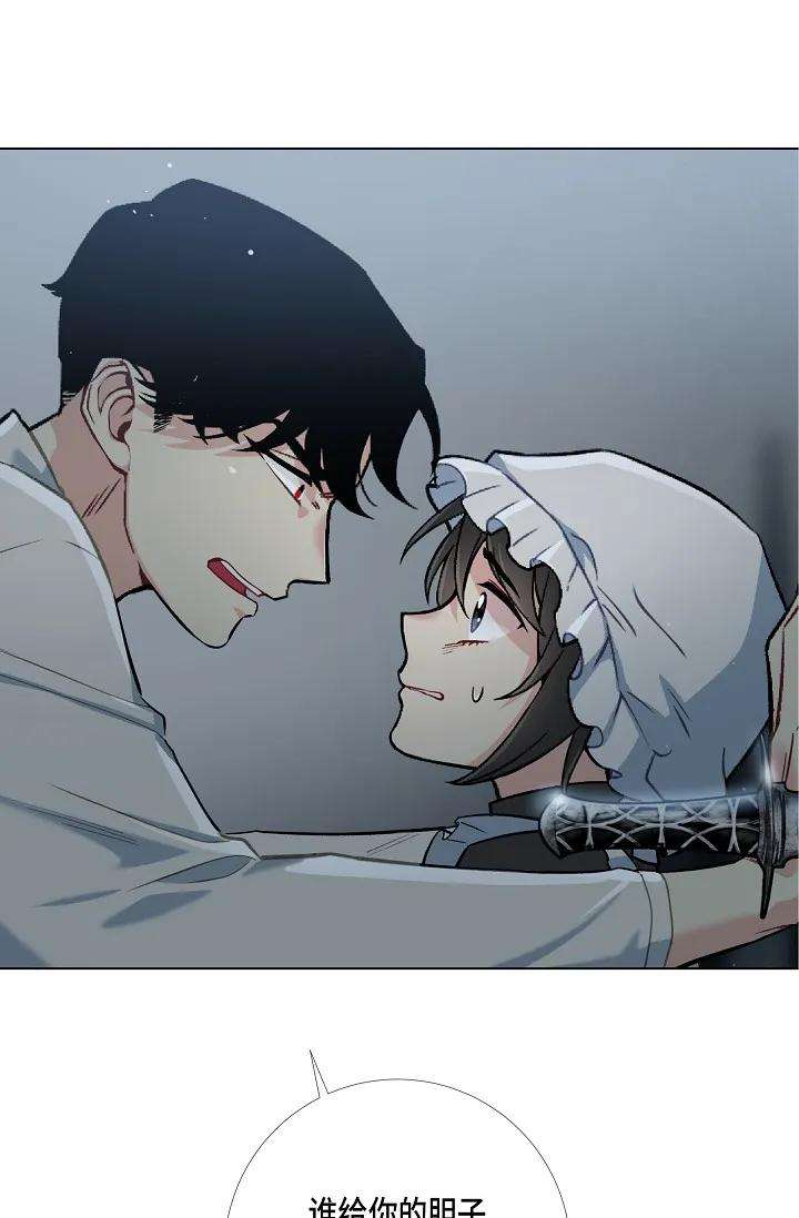 91.jpg