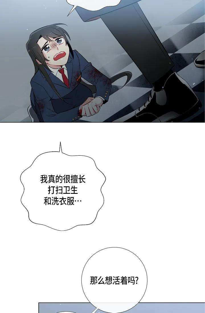 31.jpg