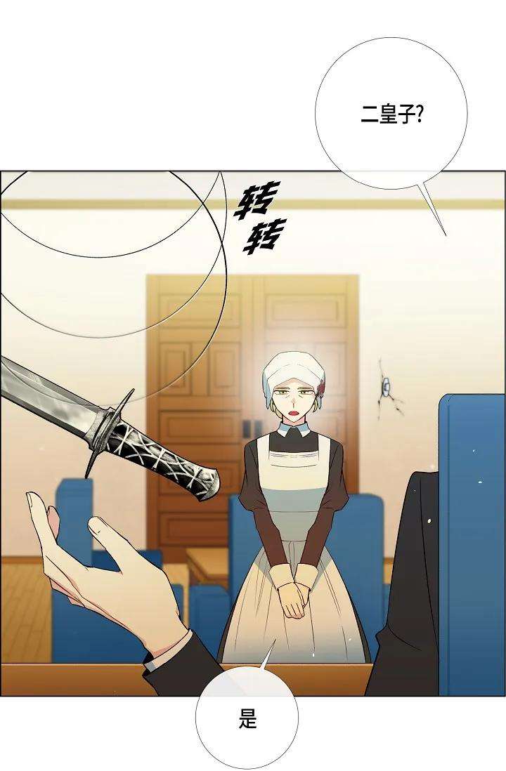 46.jpg