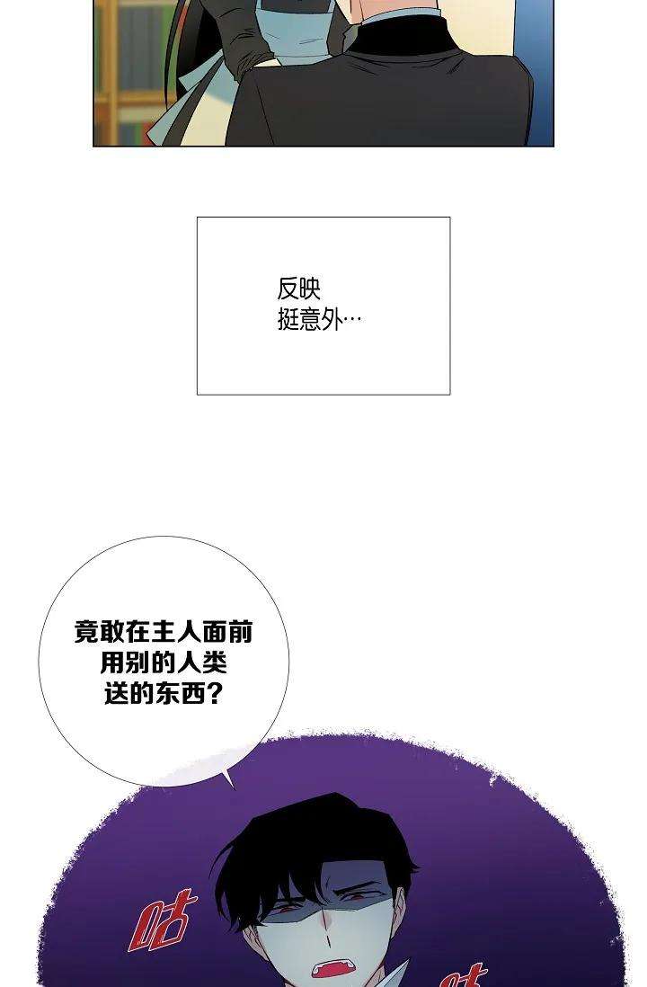 67.jpg