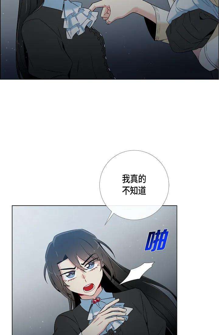 62.jpg