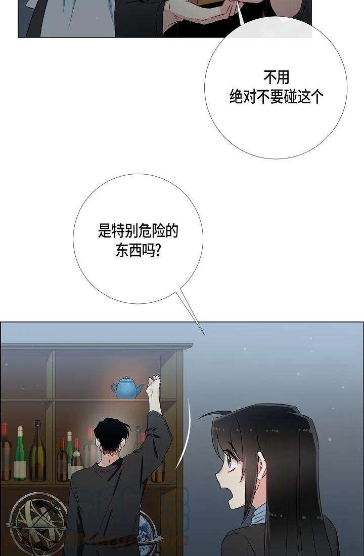 37.jpg