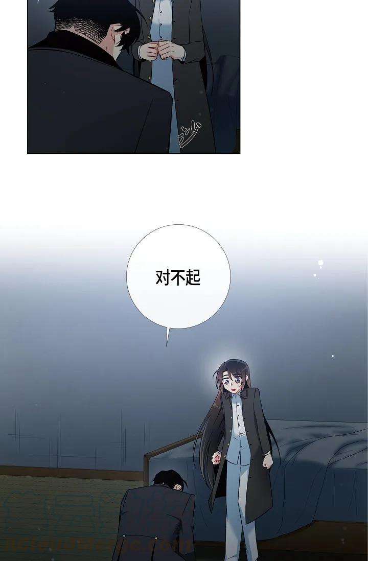 41.jpg