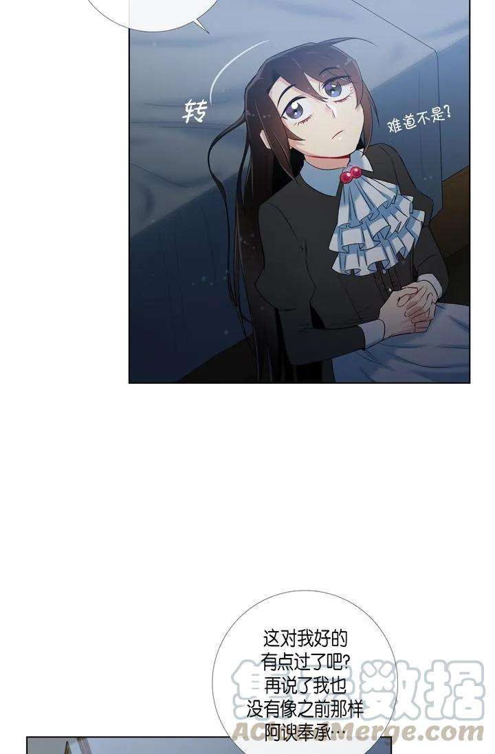 41.jpg