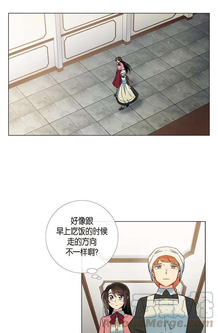 41.jpg