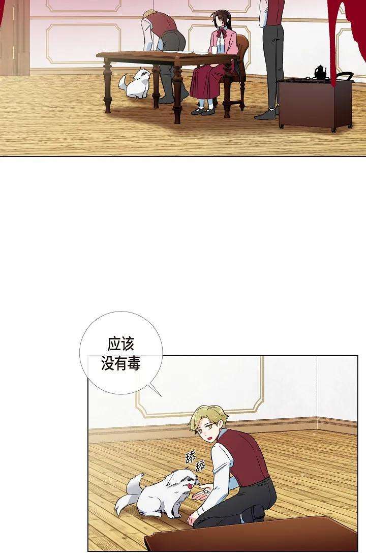 26.jpg