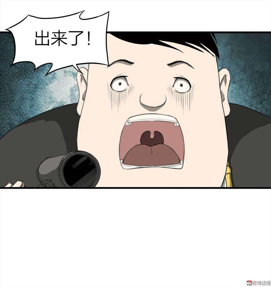 41.jpg