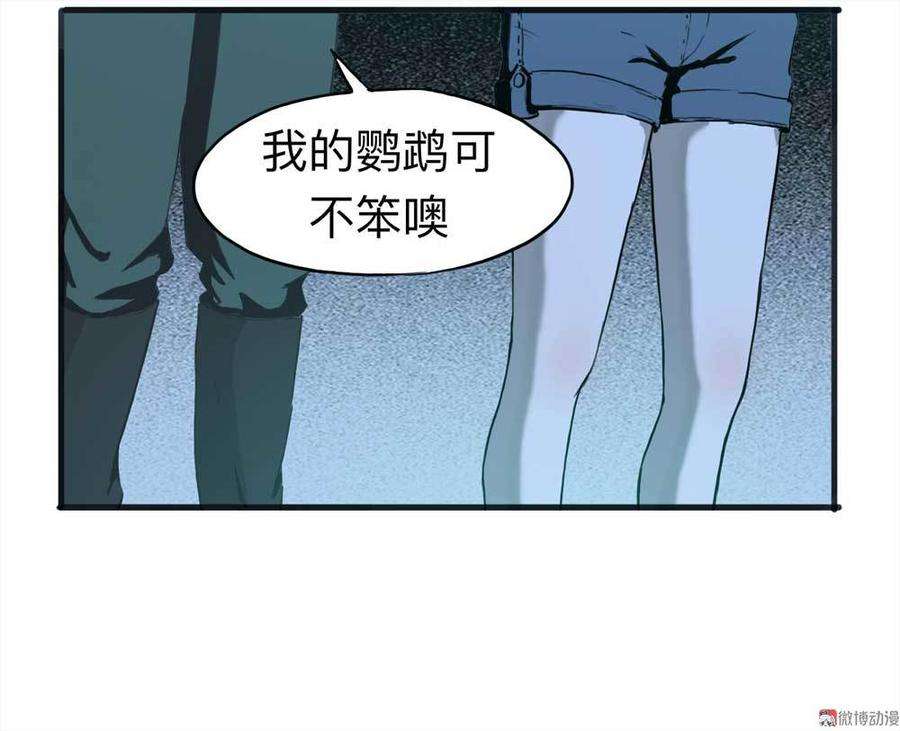 21.jpg