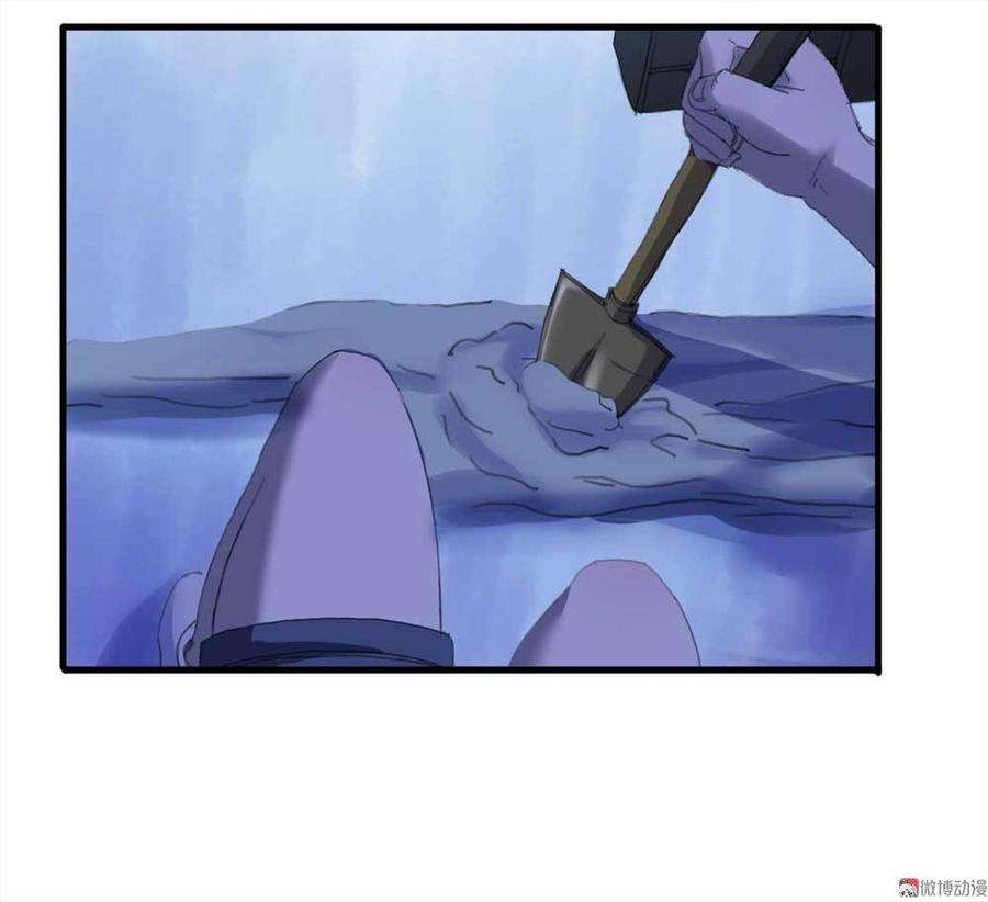 47.jpg