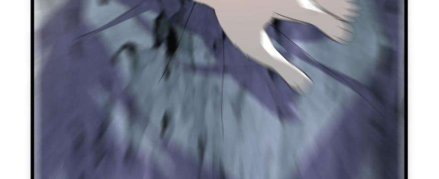 148.jpg