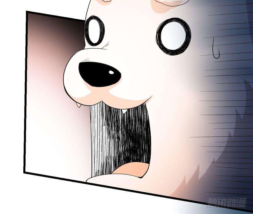 40.jpg