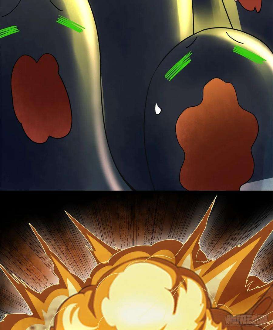 14.jpg