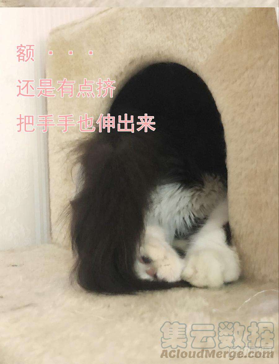 71.jpg
