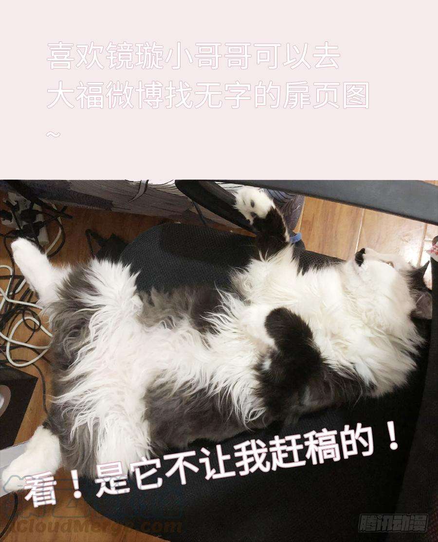 51.jpg
