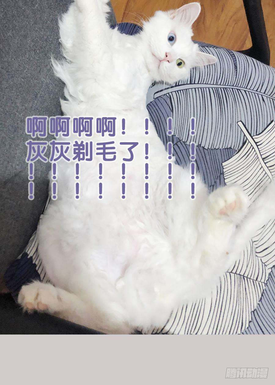 36.jpg