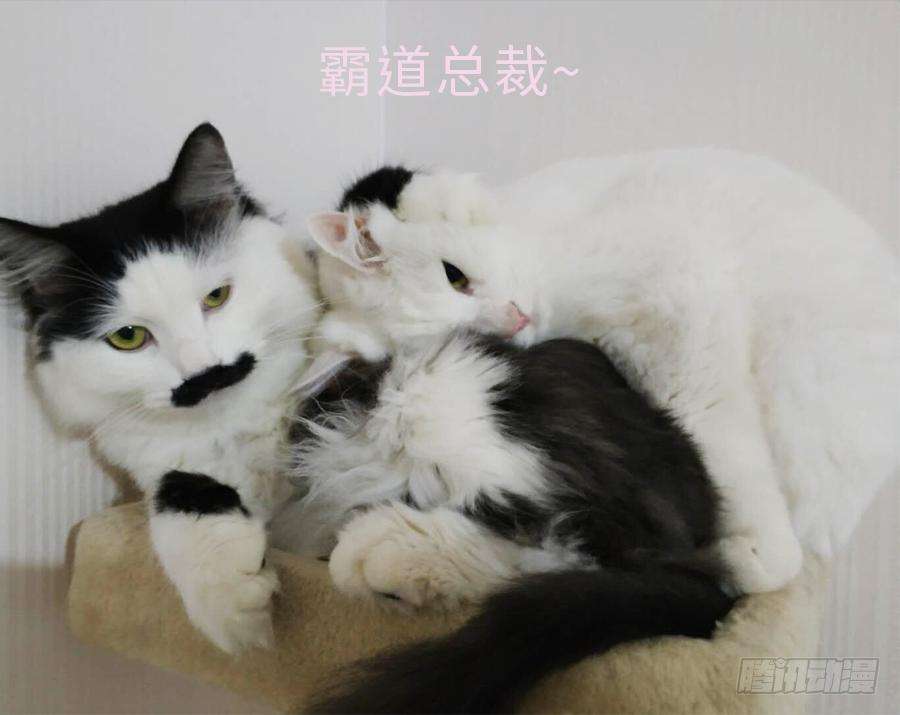 46.jpg