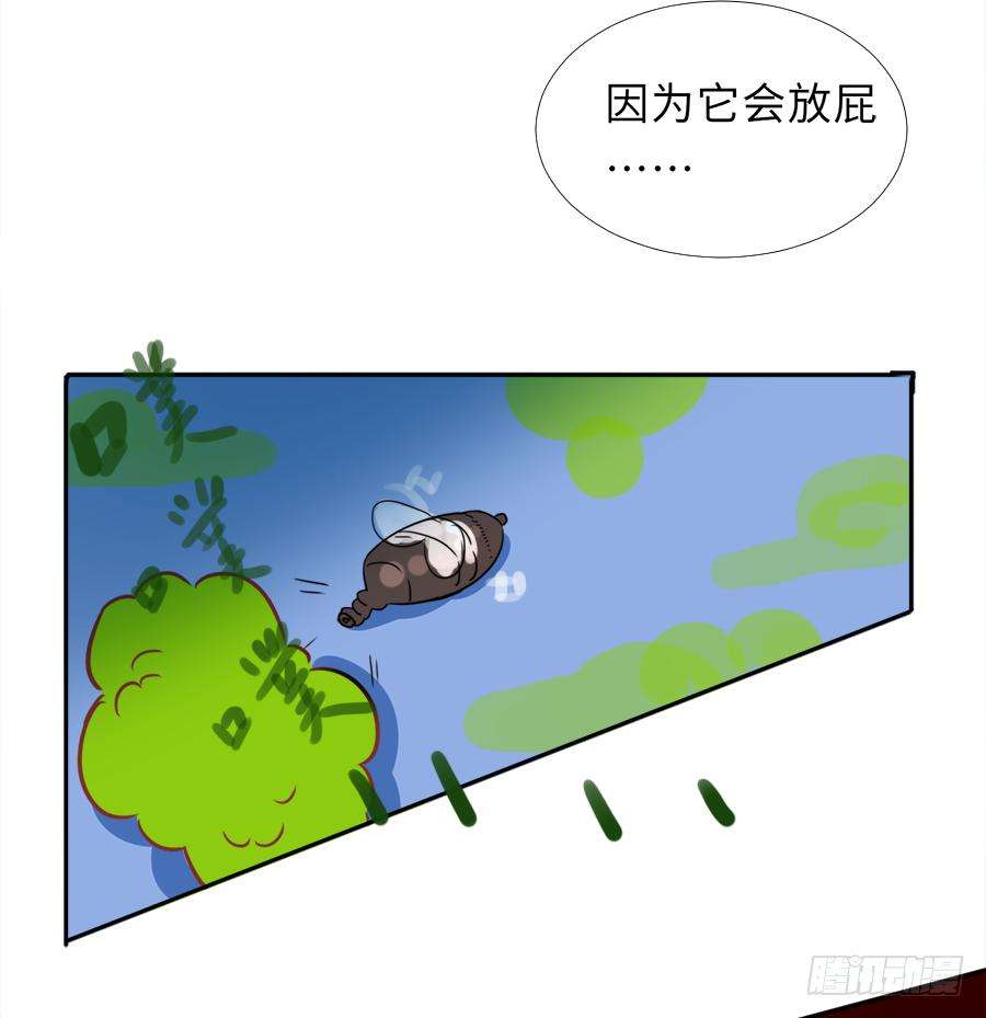 47.jpg