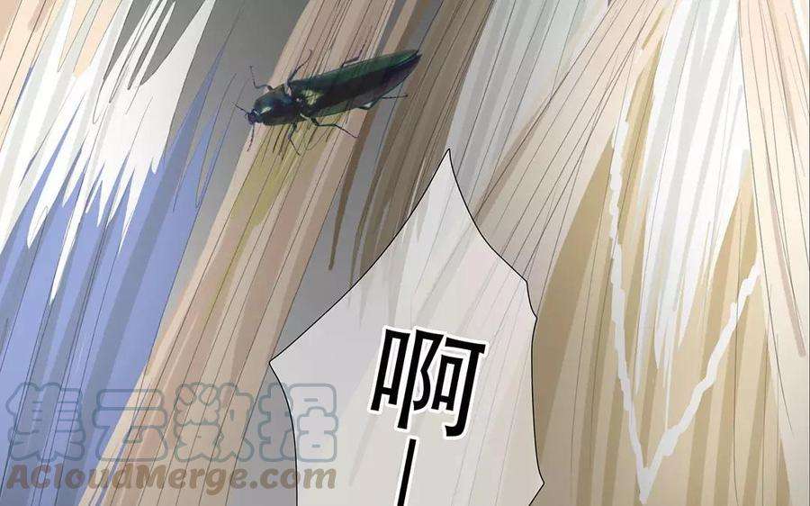 57.jpg