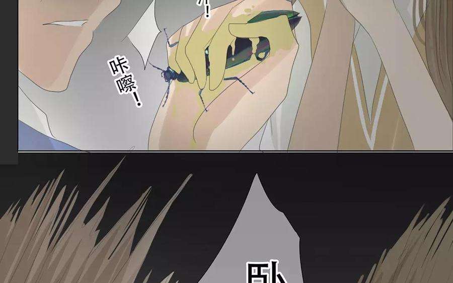 55.jpg