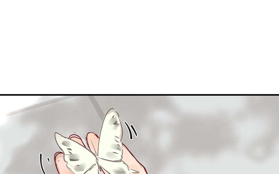 79.jpg