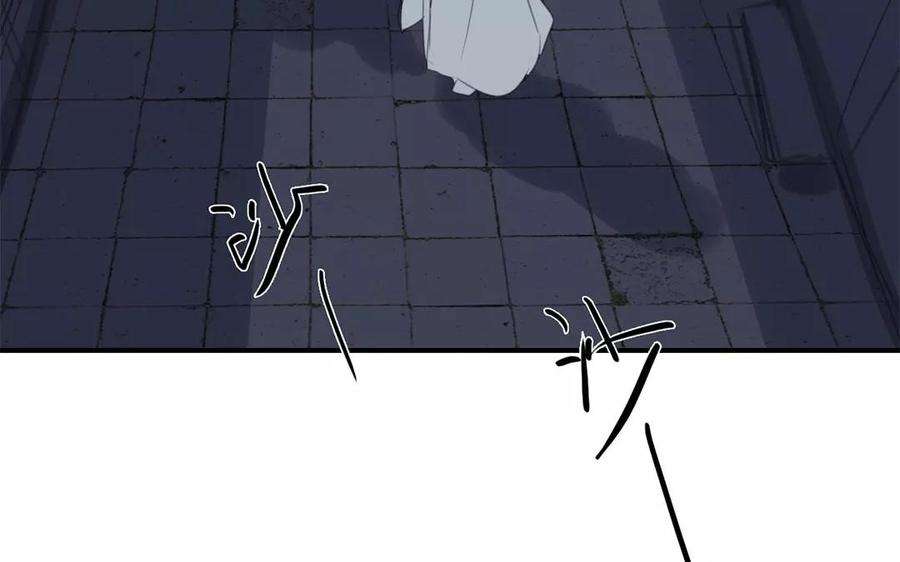 85.jpg