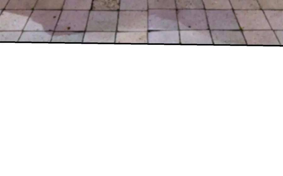 74.jpg
