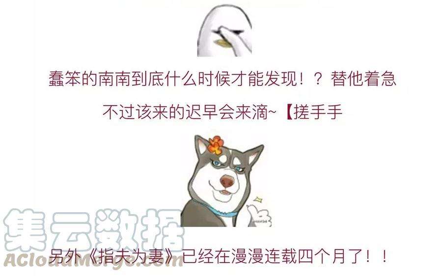 81.jpg
