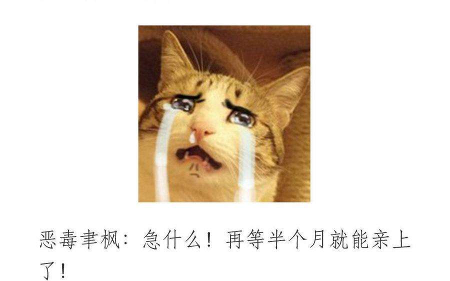 90.jpg