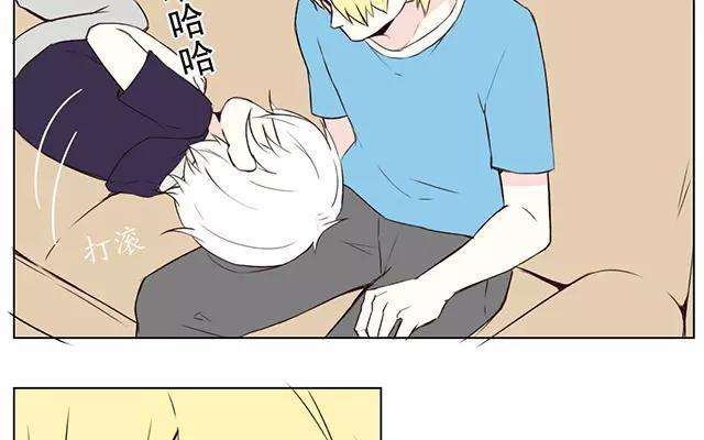 17.jpg
