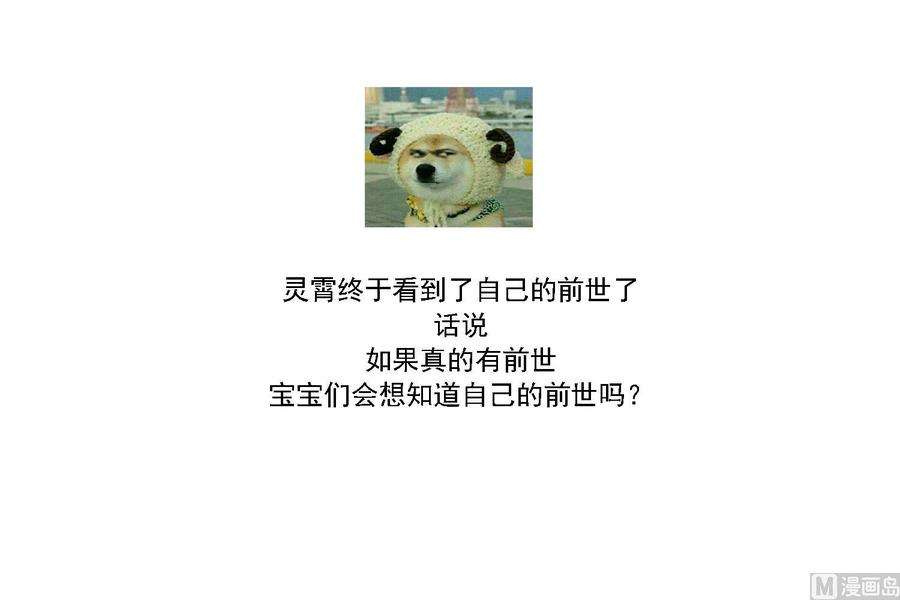 51.jpg