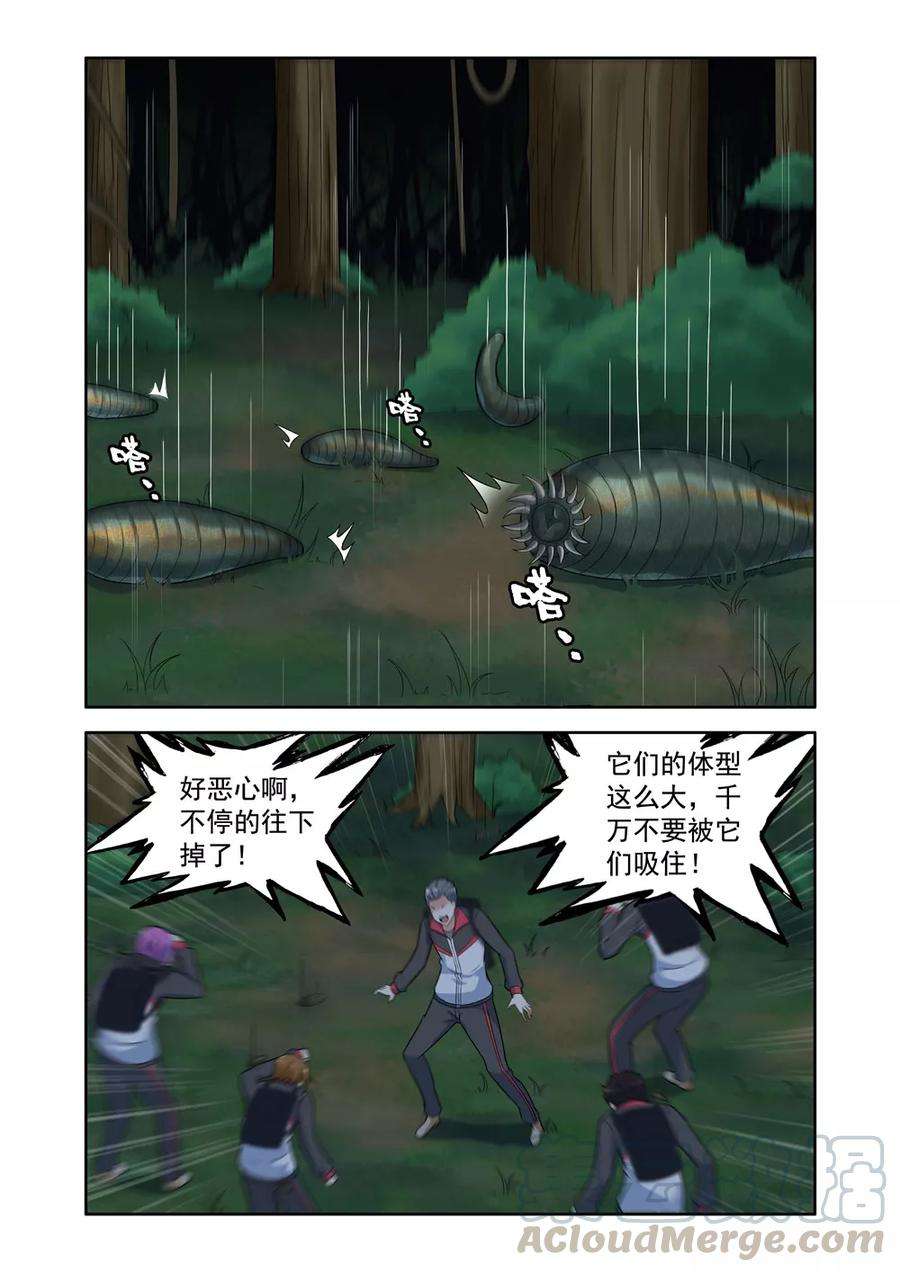 5.jpg